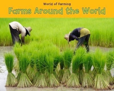 Tapa de Farms Around The World