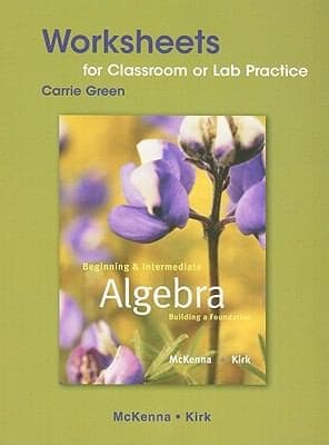 Tapa de Beginning And Intermediate Algebra Classroom Worksheets Lab Practice Building A Foundation