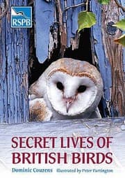 Tapa de Secret Lives Of British Birds