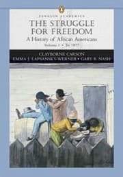 Tapa de The Struggle For Freedom A History Of African Americans