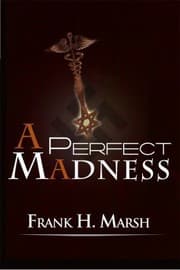 Tapa de A Perfect Madness