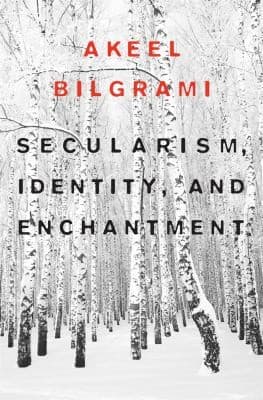 Tapa de Secularism Identity And Enchantment