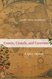 Tapa de Cumin Camels And Caravans A Spice Odyssey