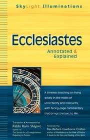 Tapa de Ecclesiastes Annotated Explained