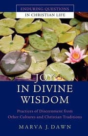 Tapa de Joy In Divine Wisdom Practices Of Discernment From Other Cultures And Christian Traditions