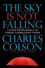 Tapa de The Sky Is Not Falling Living Fearlessly In These Turbulent Times