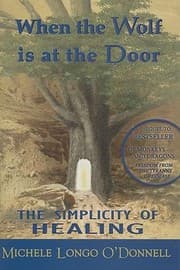 Tapa de When The Wolf Is At The Door The Simplicity Of Healing