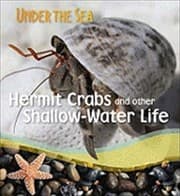 Tapa de Hermit Crabs And Other Shallowwater Life