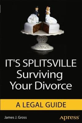 Tapa de Its Splitsville Surviving Your Divorce