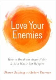 Tapa de Love Your Enemies How To Break The Anger Habit Be A Whole Lot Happier