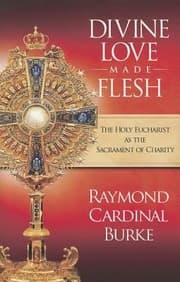 Tapa de Divine Love Made Flesh The Holy Eucharist As The Sacrament Of Charity