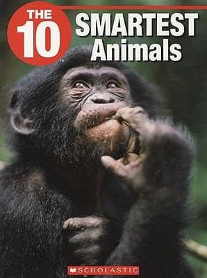 Tapa de The 10 Smartest Animals