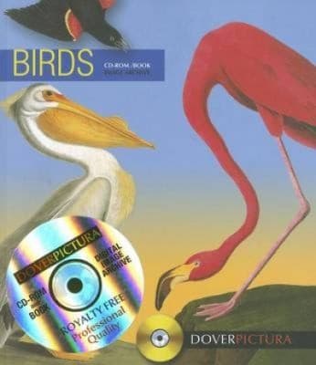 Tapa de Birds