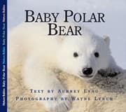 Tapa de Baby Polar Bear