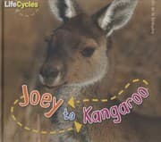 Tapa de Joey to kangaroo