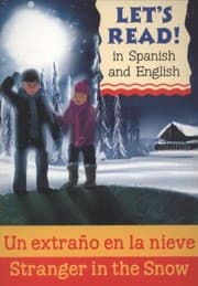 Tapa de Un Extrao En La Nieve Stranger In The Snow