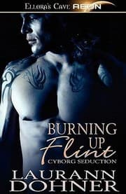 Tapa de Burning Up Flint