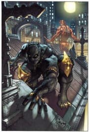 Tapa de Black Panther The Man Without Fear