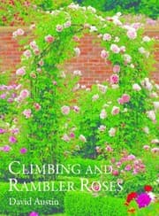 Tapa de Climbing Roses