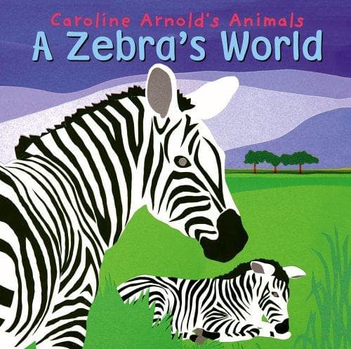 Tapa de A zebra's world