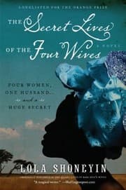 Tapa de The Secret Lives Of The Four Wives