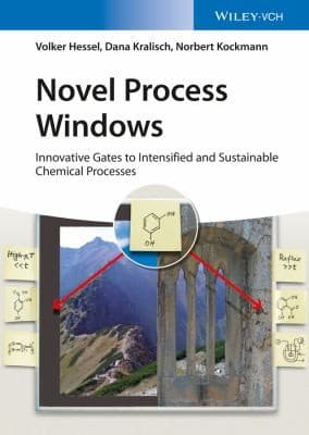 Tapa de Novel Process Windows