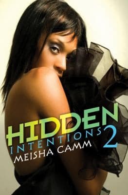 Tapa de Hidden Intentions 2