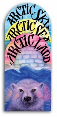 Tapa de Arctic Sky