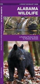Tapa de Alabama Wildlife An Introduction To Familiar Species