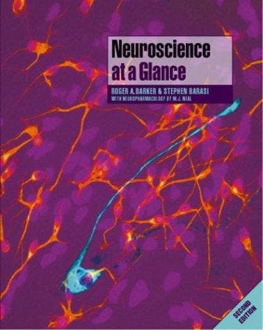 Tapa de Neuroscience at a glance