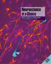 Tapa de Neuroscience at a glance