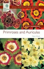 Tapa de Primroses And Auriculas