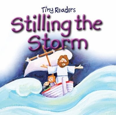 Tapa de Stilling The Storm