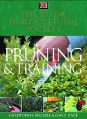 Tapa de Pruning & training