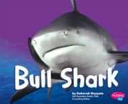 Tapa de Bull Shark Scholastic
            
                Sharks