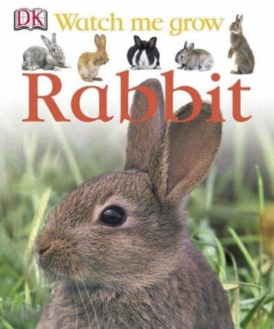 Tapa de Rabbit