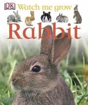 Tapa de Rabbit