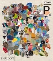 Tapa de Vitamin P New Perspectives In Painting