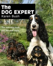 Tapa de The Dog Expert