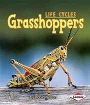 Tapa de Grasshoppers
First Step Nonfiction Paperback
