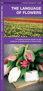 Tapa de The Language Of Flowers