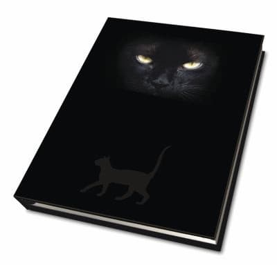Tapa de Cats Eyes Journal