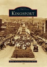 Tapa de Kingsport
            
                Images of America Arcadia Publishing