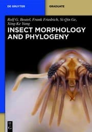 Tapa de Insect Morphology And Phylogeny A Textbook For Students Of Entomology