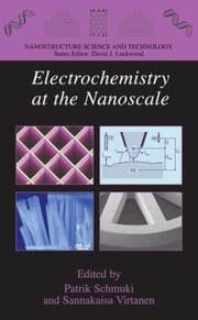Tapa de Electrochemistry At The Nanoscale