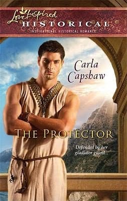 Tapa de The Protector