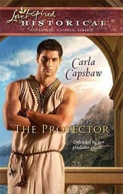 Tapa de The Protector