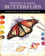 Tapa de Identify And Paint Butterflies A Field Guide For The Artist And Naturalist