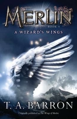 Tapa de A Wizards Wings