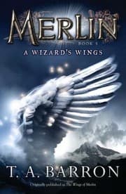 Tapa de A Wizards Wings